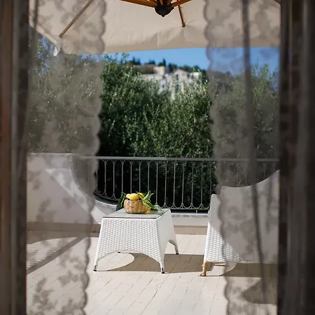Il Nido Del Gabbiano