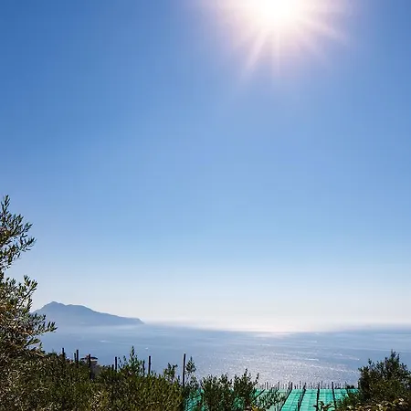 Il Nido Del Gabbiano Apartamento