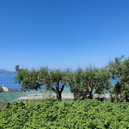 Il Nido Del Gabbiano Massa Lubrense