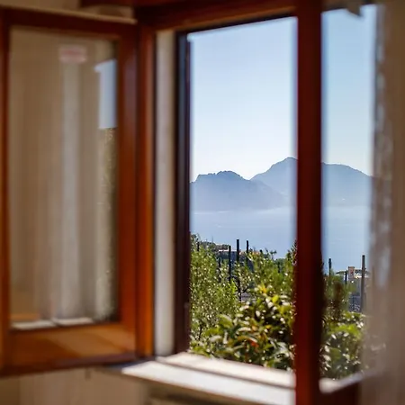Il Nido Del Gabbiano