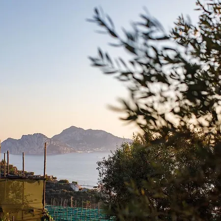 Il Nido Del Gabbiano Apartment Massa Lubrense